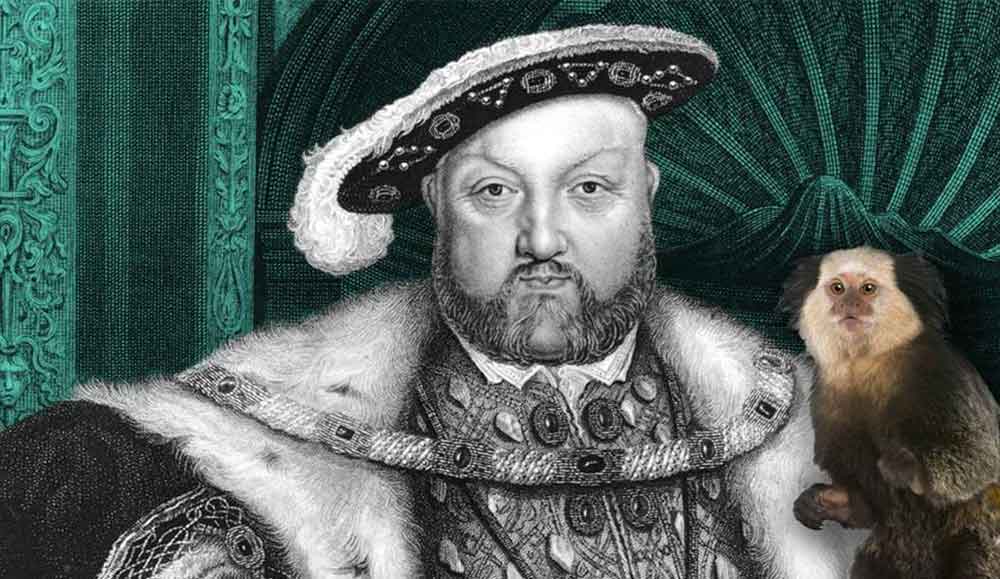 Henry viii